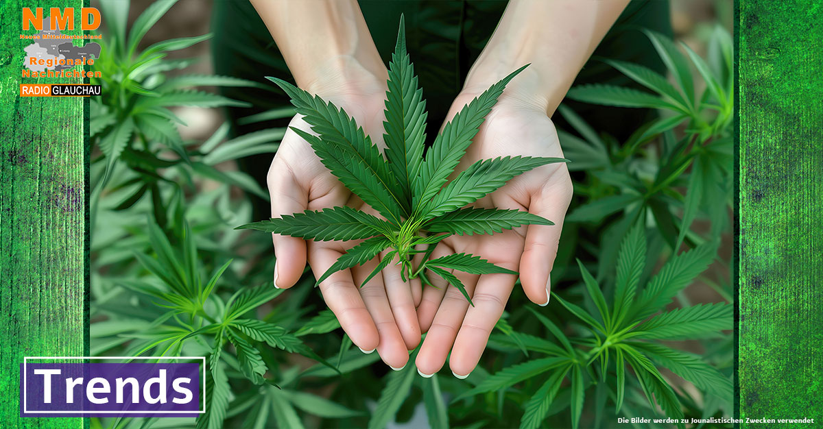 Cannabis kann zu Kopf- und Halskrebs führen